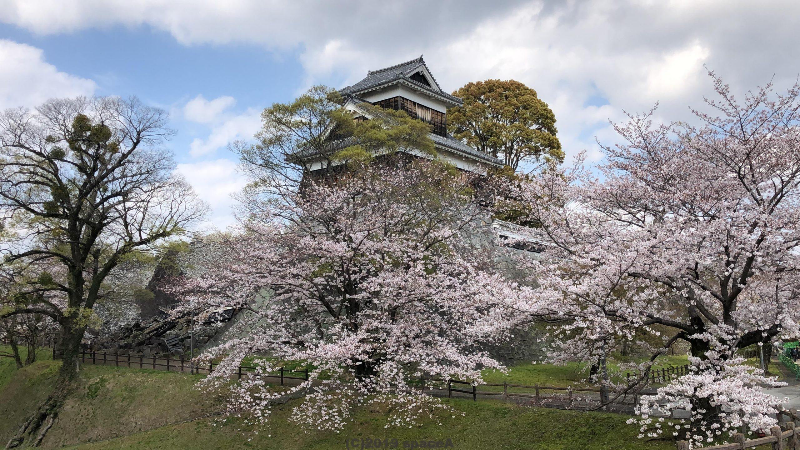19年 熊本城の花見の混雑具合は 行幸坂が期間限定で解放 Space A 19年 熊本城の花見の混雑具合は 行幸坂が期間限定で解放 Space A